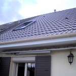 IMGP3093